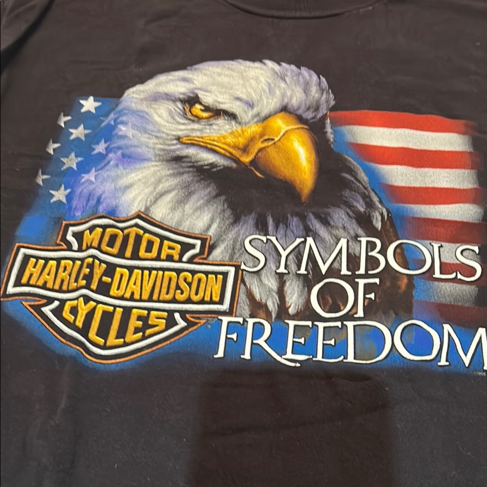 Harley-Davidson Black and Blue Patriotic Short Sleeve Tee
